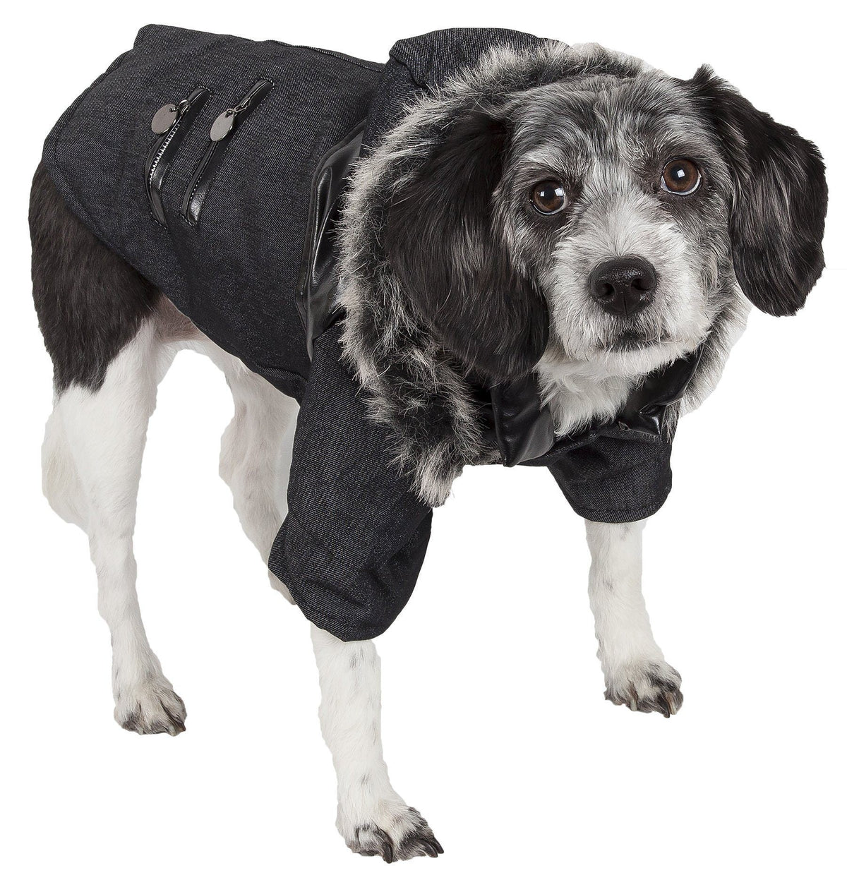 Pet Life ® 'Ruff-Choppered' Denim Fashioned Wool Dog Coat Jacket