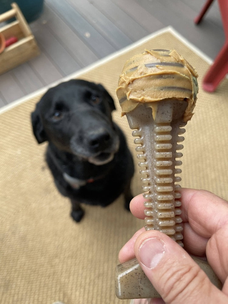 Honey Bone Dental Tower Nylon Chew Toy for Aggressive Chewers | USA Made